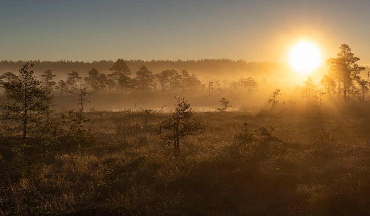 How to plan a safe moorland walk in changing weather